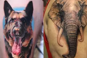 10 Tato hewan 3D ini bikin takjub, sekilas tampak nyata