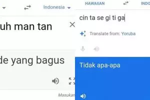 11 Terjemahan bertema cinta di Google Translate ini kocak!