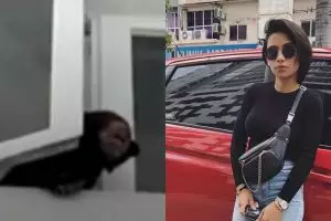 Penyanyi cantik ini kena masalah karena miliki peliharaan tak biasa