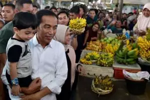Momen hangat Jokowi temani Jan Ethes bermain di sawah