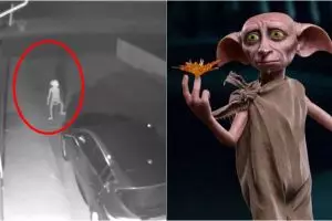 Penampakan sosok serem mirip 'Dobby' Harry Potter, bikin merinding