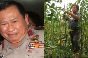 9 Potret terbaru Susno Duadji, kini sibuk bertani