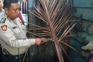 Gara-gara pelepah kelapa, satu keluarga tewas tersetrum listrik