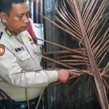 Gara-gara pelepah kelapa, satu keluarga tewas tersetrum listrik