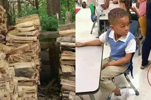 Uji kejelian mata, bisa temukan momen tersembunyi di 10 foto ini?