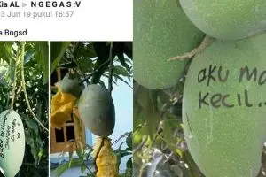 8 Cara lucu buah agar nggak dicuri ini bikin tepuk jidat