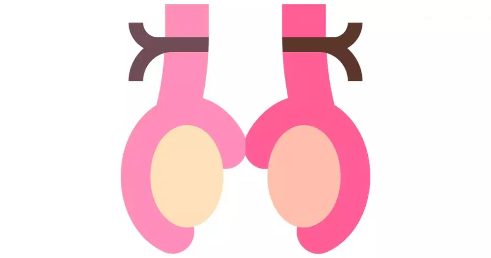 kanker prostat © mayoclinic.org dan sumber lainnya kanker prostat © mayoclinic.org dan sumber lainnya