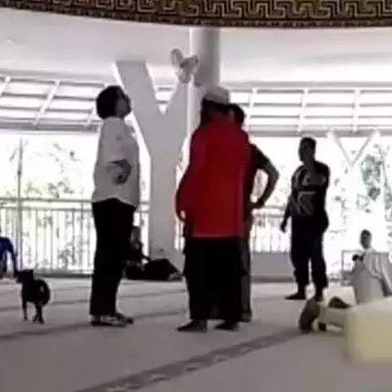 Kenali skizofrenia, penyakit wanita pembawa anjing ke masjid