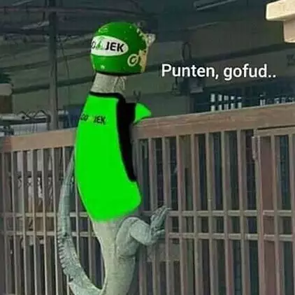 Viral foto biawak manjat pagar, 10 meme lucunya ini bikin ngakak