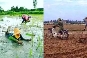10 Aksi nyeleneh petani saat bercocok tanam ini bikin cekikikan