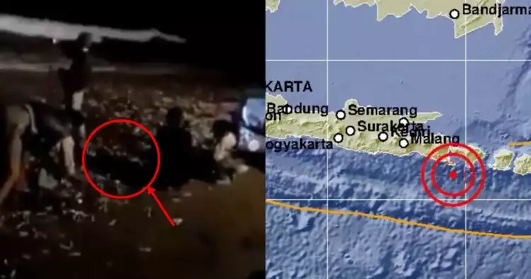 Viral video ribuan ikan terdampar di pantai sebelum gempa Bali