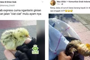 9 Curhat driver ojek online dapat order mengantar hewan ini kocak