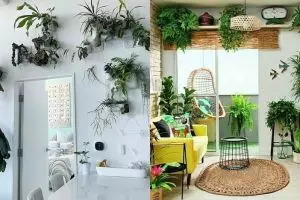 20 Inspirasi penataan tanaman hijau di ruangan, beri kesan asri
