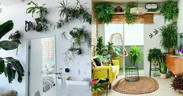 20 Inspirasi penataan tanaman hijau di ruangan, beri kesan asri