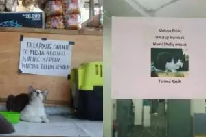 7 Peringatan lucu hadapi kucing ini absurd abis, bikin ngakak
