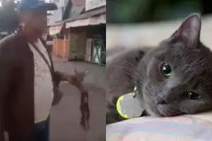 Viral pria makan kucing hidup-hidup, polisi cari pelaku