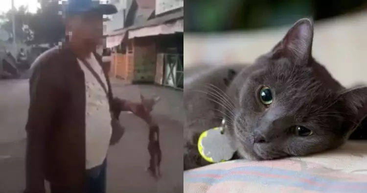 Viral pria makan kucing hidup-hidup, polisi cari pelaku