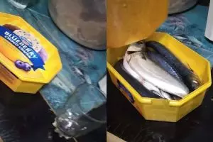 10 Isian wadah ini tak sesuai ekspektasi, bikin ketawa kesal