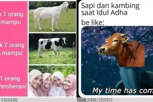 10 Meme lucu hewan kurban jelang Idul Adha ini endingnya baper