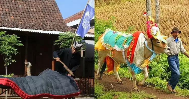 6 Tradisi unik jelang Idul Adha di Indonesia, ada jemur kasur