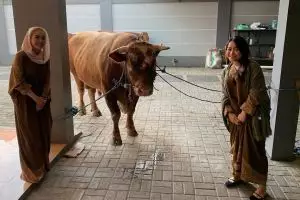 10 Momen Ayu Ting Ting rayakan Idul Adha, ikutan potong hewan kurban