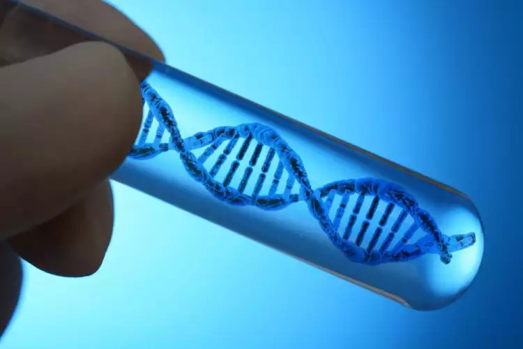 Selain ungkap hubungan darah, ini 5 manfaat penting tes DNA