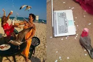 11 Potret tingkah lucu dan nggak biasa burung ini bikin gigit jari