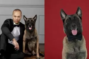 10 Momen gemas anjing 'pembunuh' milik Bima Aryo ikut pemotretan