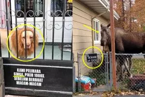 10 Peringatan di rumah ini kenyataannya bikin tepuk jidat