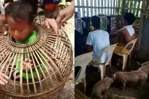 9 Momen kocak di kandang hewan ini bikin nyengir
