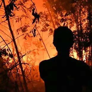 Kebakaran hutan, penyebaran kabut asap hingga Singapura &amp; Malaysia