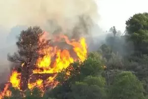 Begini foto kebakaran hutan Kalimantan dari luar angkasa, miris