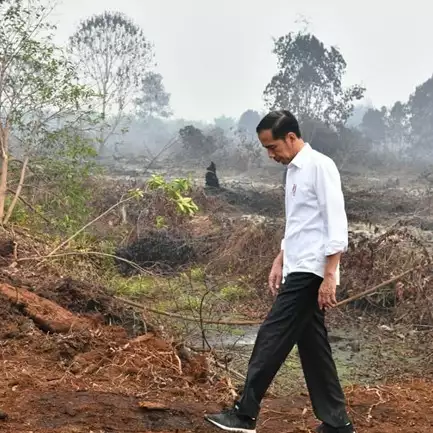 Jokowi tinjau kebakaran hutan, perubahan sepatunya jadi sorotan