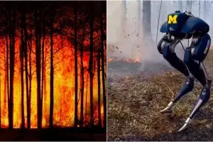 8 Teknologi canggih lawan kebakaran hutan, ada robot antiapi