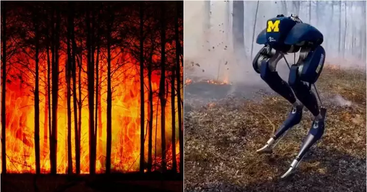 8 Teknologi canggih lawan kebakaran hutan, ada robot antiapi