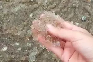 Hujan es di tengah kabut asap Pelalawan Riau, bikin heboh warga