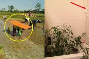 10 Cara kocak orang Indonesia bercocok tanam, absurd pol