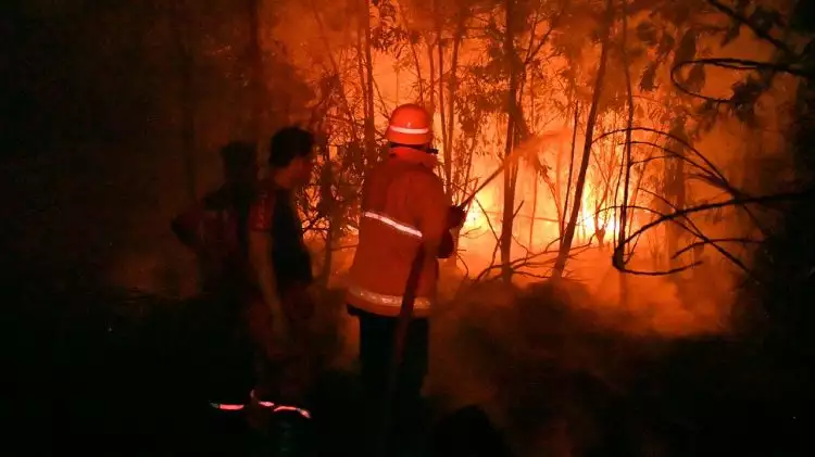 Bareskrim tetapkan 325 orang & 95 korporasi tersangka kebakaran hutan