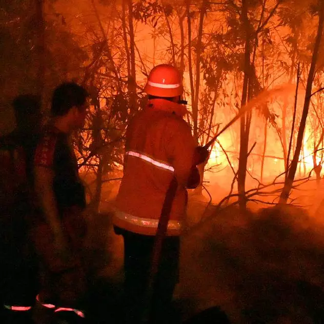 Bareskrim tetapkan 325 orang &amp; 95 korporasi tersangka kebakaran hutan