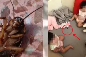 Ditinggal ibunya main sendiri, dua balita ini makan kecoak