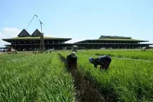 Rute Banyuwangi-Yogyakarta PP mulai 19 November, ini jadwalnya