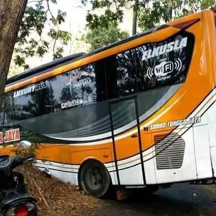 Sopir pakai GPS, bus ini tersesat dilewatkan hutan belantara