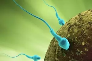 3 Makanan ini bisa turunkan jumlah sperma pria, hati-hati