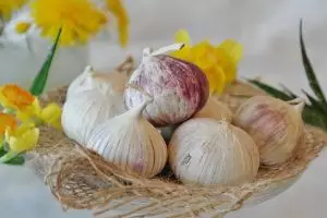 20 Manfaat bawang putih tunggal buat kesehatan & kesuburan