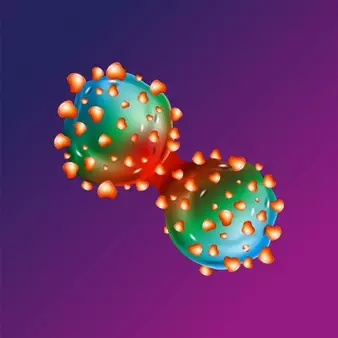 12 Penyebab usus buntu © berbagai sumber