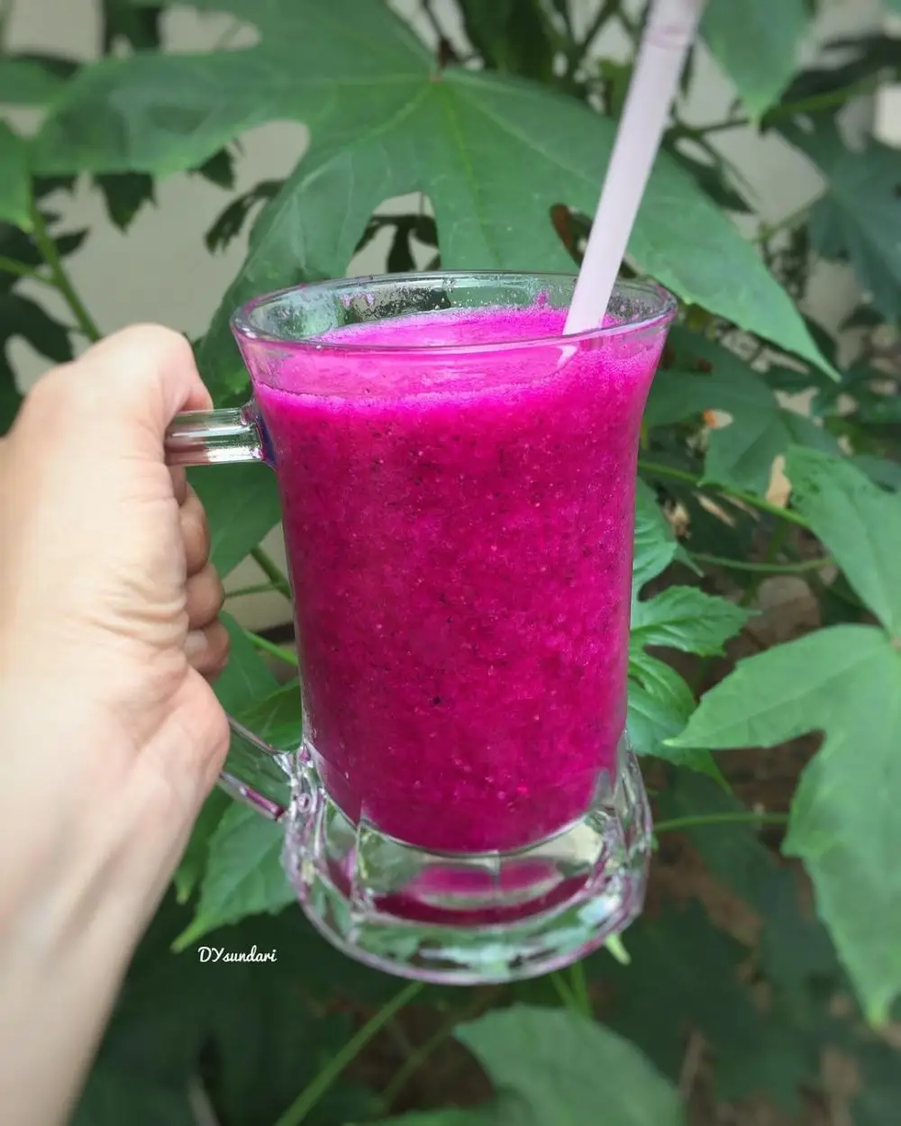 12 Cara membuat jus buah naga merah, enak dan segar