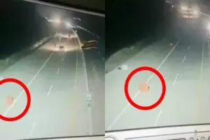 Viral pembatas jalan tol bergerak sendiri, ini fakta sebenarnya