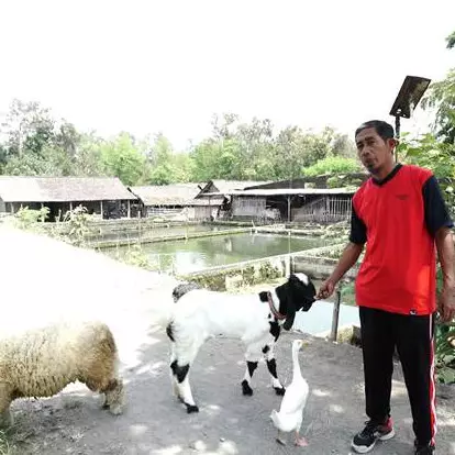 Gandung, sosok yang bikin heboh ajak bebek-kambing jalan santai