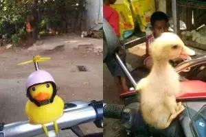 10 Kelakuan absurd orang ganti barang ini nyeleneh banget