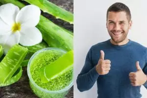 7 Manfaat lidah buaya untuk pria dan cara menggunakannya